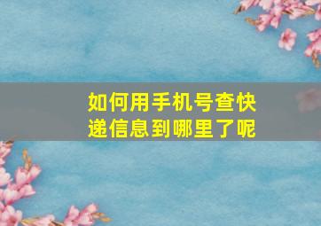 如何用手机号查快递信息到哪里了呢