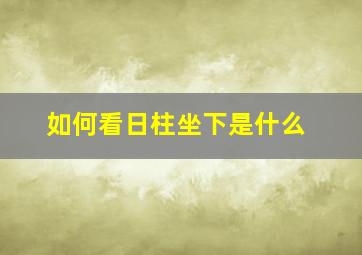 如何看日柱坐下是什么