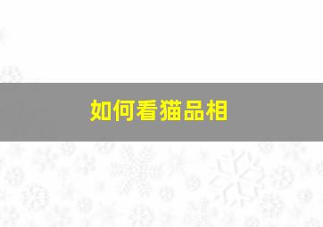 如何看猫品相