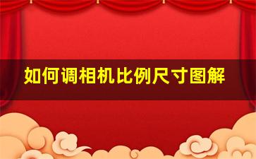 如何调相机比例尺寸图解