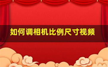 如何调相机比例尺寸视频