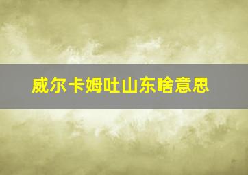 威尔卡姆吐山东啥意思