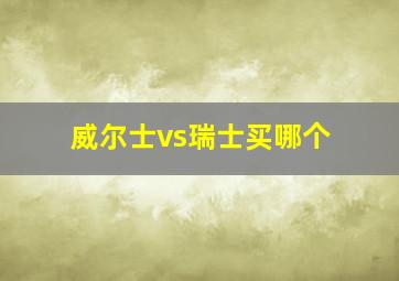 威尔士vs瑞士买哪个