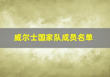 威尔士国家队成员名单