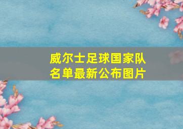 威尔士足球国家队名单最新公布图片