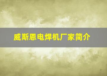 威斯恩电焊机厂家简介