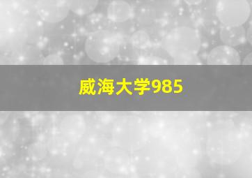 威海大学985