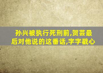 孙兴被执行死刑前,贺芸最后对他说的这番话,字字戳心