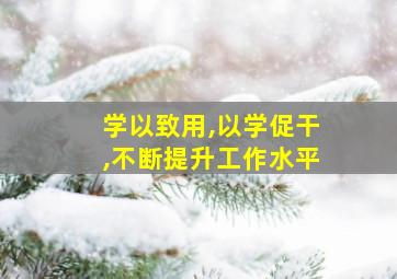 学以致用,以学促干,不断提升工作水平