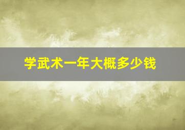 学武术一年大概多少钱