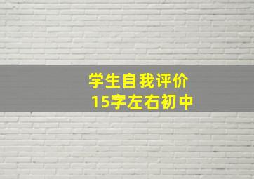 学生自我评价15字左右初中