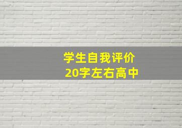 学生自我评价20字左右高中