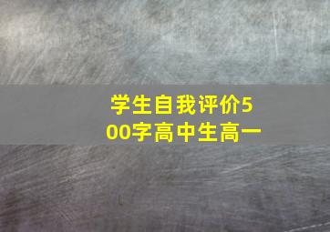 学生自我评价500字高中生高一