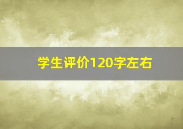 学生评价120字左右