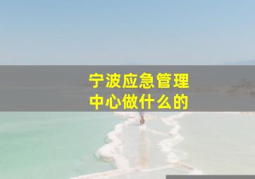 宁波应急管理中心做什么的