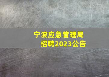 宁波应急管理局招聘2023公告