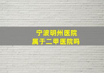 宁波明州医院属于二甲医院吗