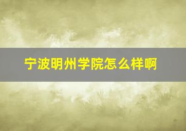 宁波明州学院怎么样啊