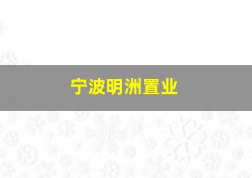 宁波明洲置业