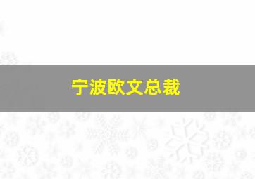 宁波欧文总裁