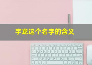 宇龙这个名字的含义