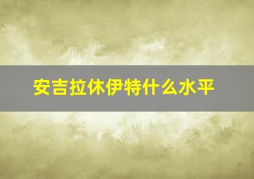 安吉拉休伊特什么水平