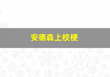 安德森上校梗