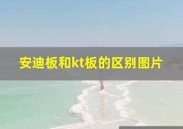 安迪板和kt板的区别图片