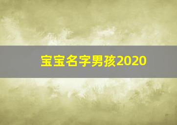 宝宝名字男孩2020