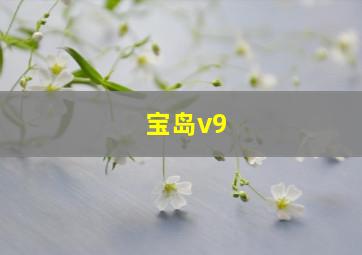 宝岛v9