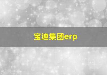 宝迪集团erp