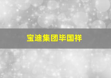 宝迪集团毕国祥