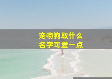 宠物狗取什么名字可爱一点