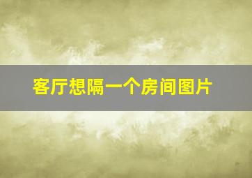 客厅想隔一个房间图片