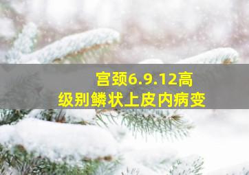 宫颈6.9.12高级别鳞状上皮内病变