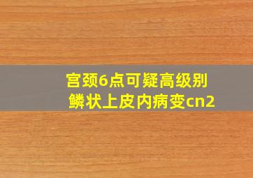 宫颈6点可疑高级别鳞状上皮内病变cn2