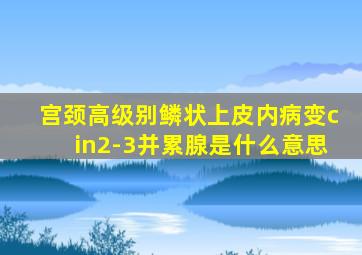 宫颈高级别鳞状上皮内病变cin2-3并累腺是什么意思