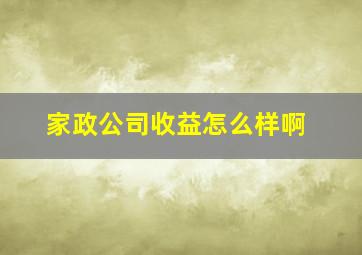 家政公司收益怎么样啊