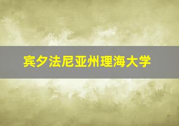 宾夕法尼亚州理海大学