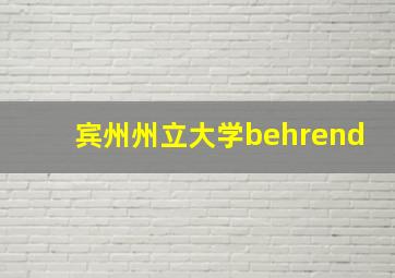 宾州州立大学behrend