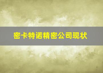 密卡特诺精密公司现状