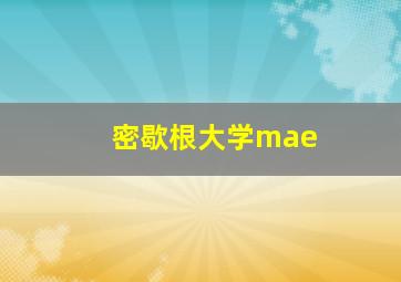 密歇根大学mae