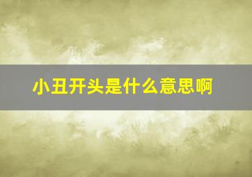 小丑开头是什么意思啊