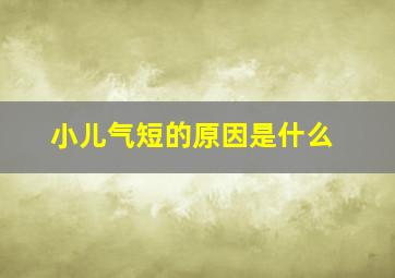 小儿气短的原因是什么