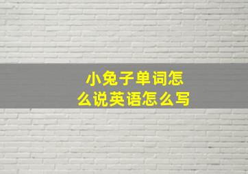 小兔子单词怎么说英语怎么写