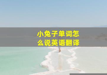 小兔子单词怎么说英语翻译