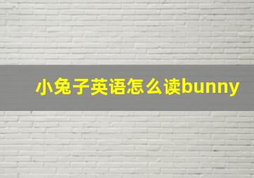 小兔子英语怎么读bunny