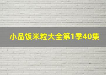 小品饭米粒大全第1季40集