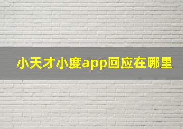 小天才小度app回应在哪里