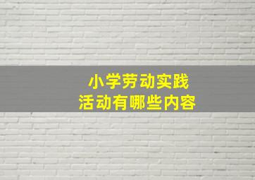 小学劳动实践活动有哪些内容